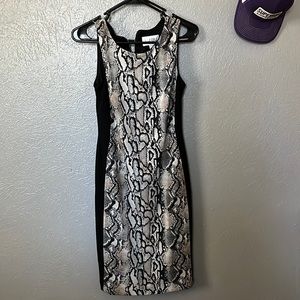 Snake Skin Dress
